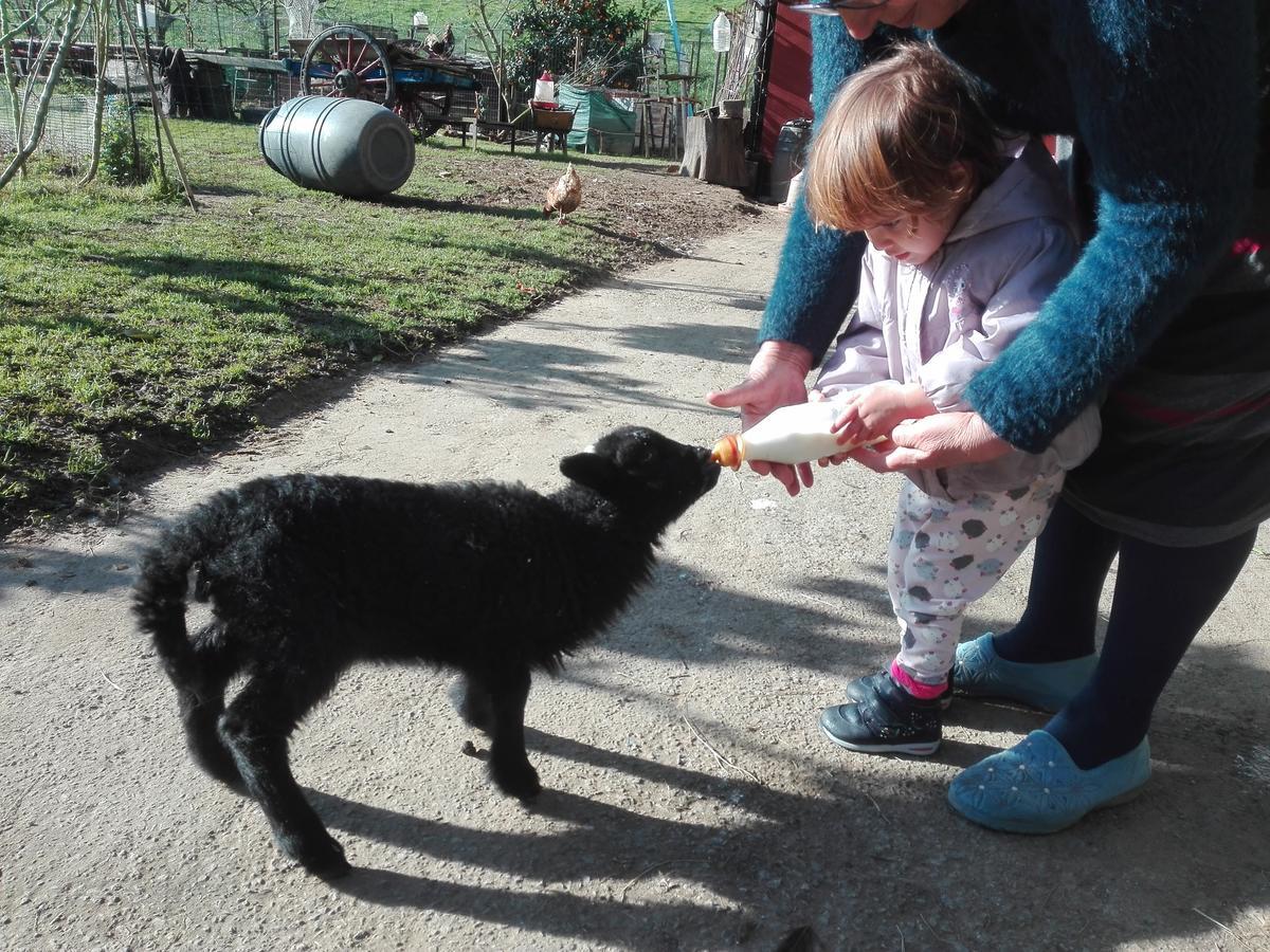 Agroturismo La Casona De Belmonte Ovinana  Esterno foto