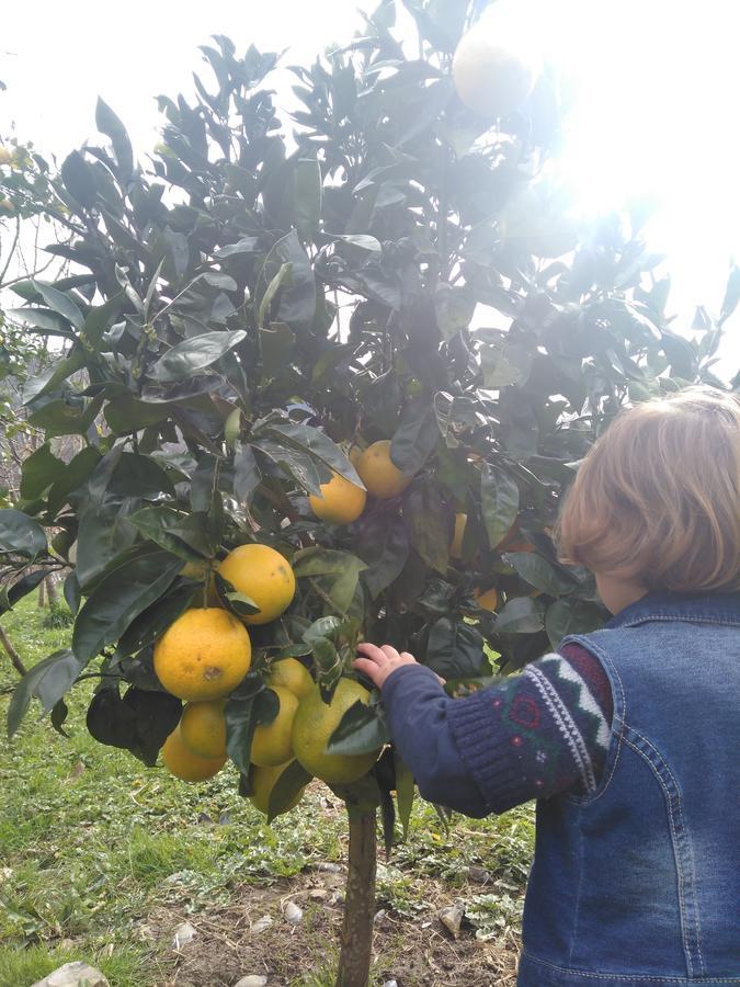 Agroturismo La Casona De Belmonte Ovinana  Esterno foto