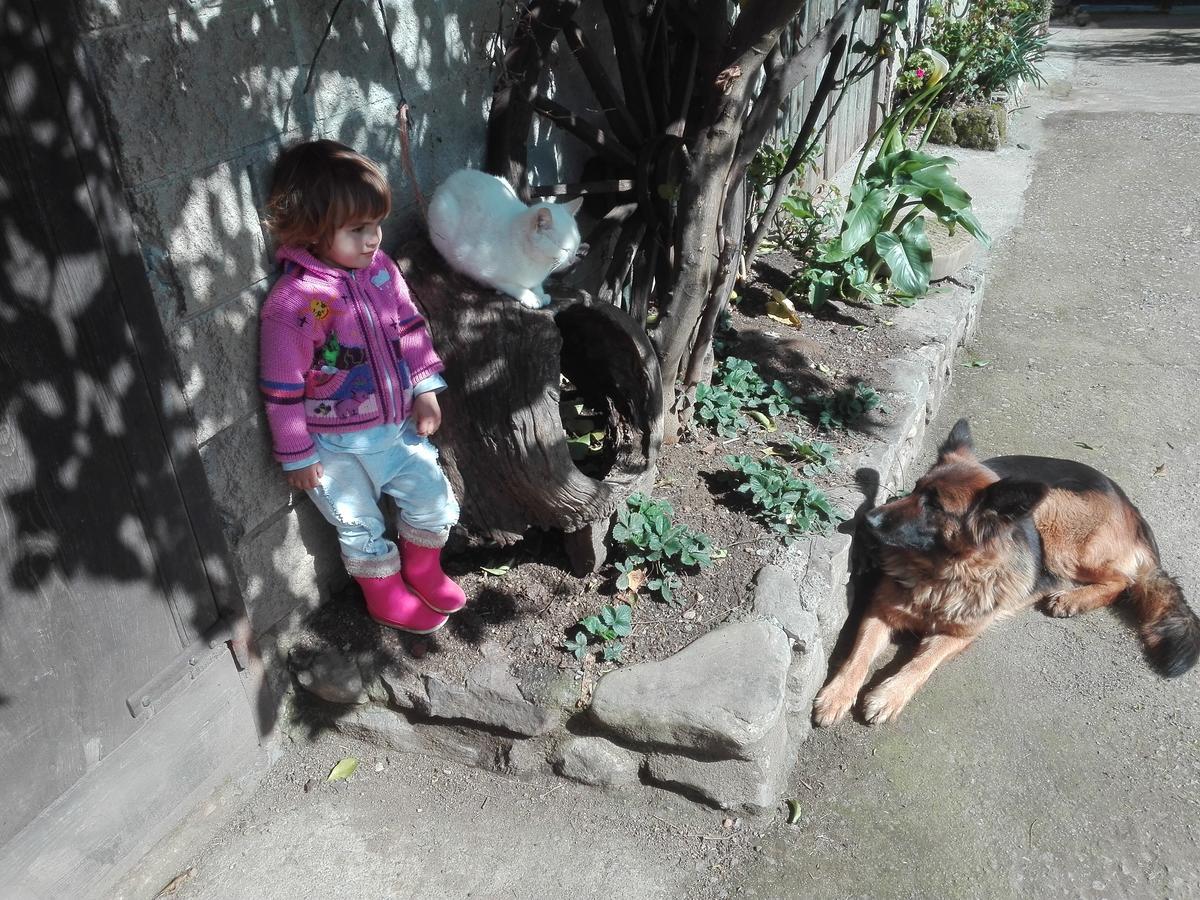 Agroturismo La Casona De Belmonte Ovinana  Esterno foto
