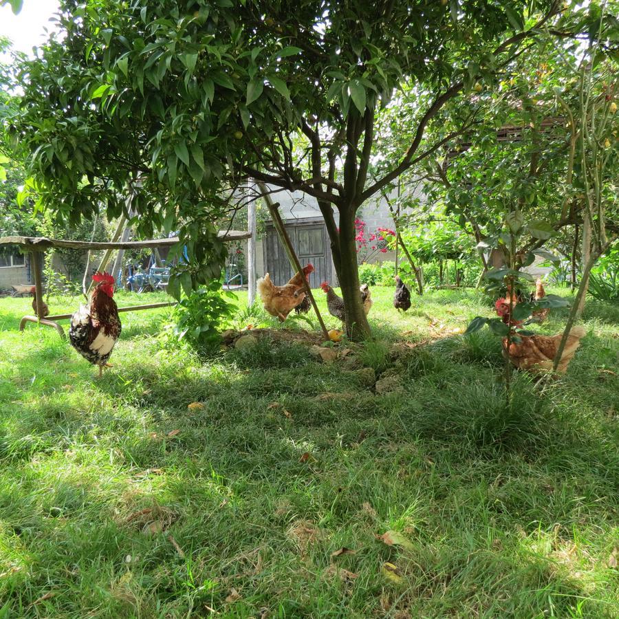 Agroturismo La Casona De Belmonte Ovinana  Esterno foto
