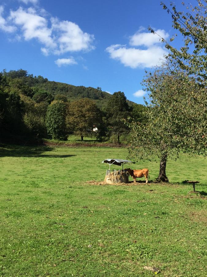 Agroturismo La Casona De Belmonte Ovinana  Esterno foto
